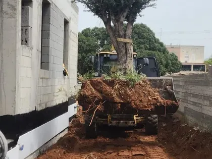 פיתוח שטח - מדריך מקיף לתכנון וביצוע